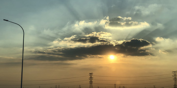 雷波小麦技术优势